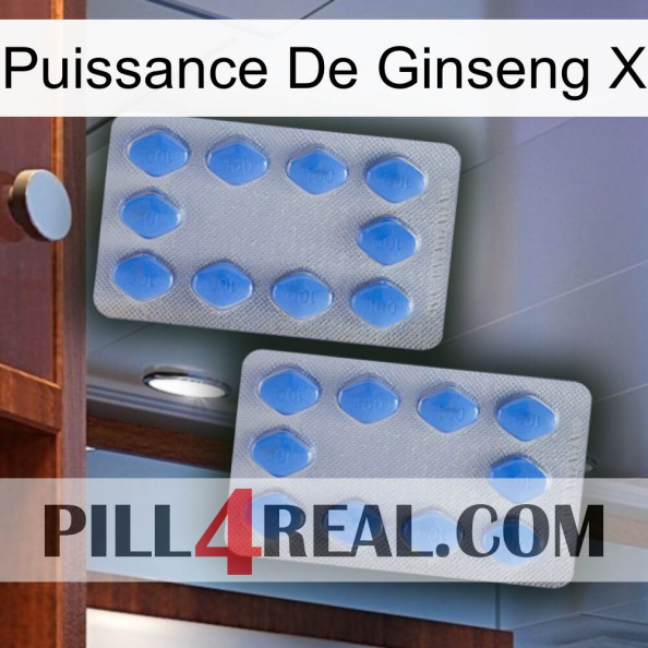 Ginseng Power X 20.jpg